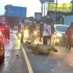 Tergelincir, Pengendara Scoopy Hantam Mitsubishi Xpander