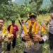 Perkuat Ketahanan Pangan, Polsek Tanjungsari Panen Raya Jagung Hibrida
