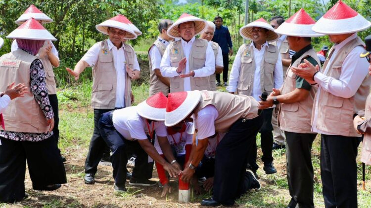 Pasang Patok, Cara Sederhana Cegah Sengketa Tanah dengan Tetangga