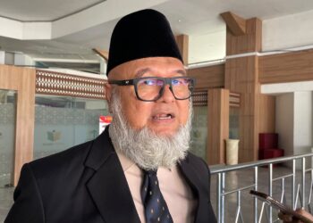 Potensi Kekeringan di Kabupaten Bogor, BPBD Sebut Risiko Kebakaran Hutan Relatif Rendah