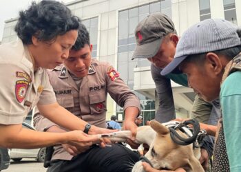 Kasus Bocah Tewas di Jasinga, Ditpolsatwa Ambil Sampel 4 Anjing untuk Uji Rabies