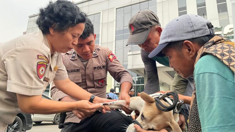 Kasus Bocah Tewas di Jasinga, Ditpolsatwa Ambil Sampel 4 Anjing untuk Uji Rabies