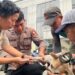 Kasus Bocah Tewas di Jasinga, Ditpolsatwa Ambil Sampel 4 Anjing untuk Uji Rabies