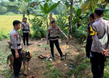 Polres Bogor Terjunkan Tim K9 Mabes Polri untuk Buru Anjing Pemburu yang Lepas di Jasinga