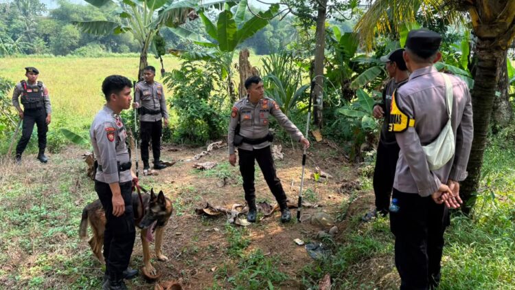 Polres Bogor Terjunkan Tim K9 Mabes Polri untuk Buru Anjing Pemburu yang Lepas di Jasinga