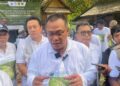 Menteri Lingkungan Hidup Dukung Program Satu Kecamatan Satu Hutan Kota
