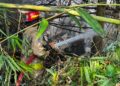 ‎Kebakaran Lahan Limbah Pembuangan Sampah di Gunung Putri, Damkar Berjibaku Padamkan Selama 4 Jam ‎
