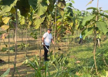 Pemkab Bogor Rawat Hutan Kota Pakansari, Rudy Susmanto Ajak Warga Jaga Kelestarian Lingkungan
