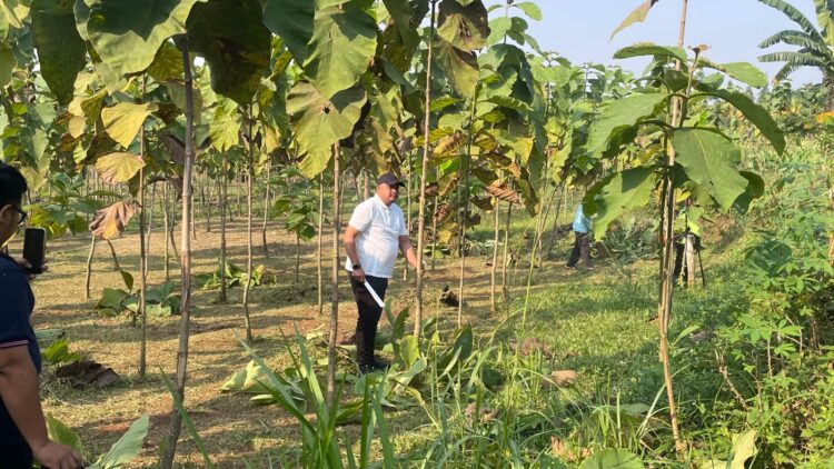 Pemkab Bogor Rawat Hutan Kota Pakansari, Rudy Susmanto Ajak Warga Jaga Kelestarian Lingkungan