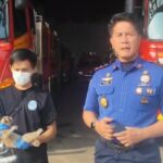 Damkar Kabupaten Bogor Evakuasi Kukang Jawa di Tanjungsari, Satwa Diserahkan ke BKSDA