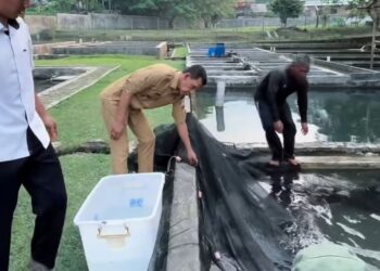 Wabup Bogor Jaro Ade Dorong Penguatan Perikanan Air Tawar, Tinjau Balai Riset di Cijeruk