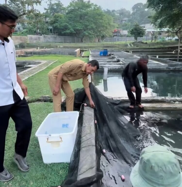 Wabup Bogor Jaro Ade Dorong Penguatan Perikanan Air Tawar, Tinjau Balai Riset di Cijeruk