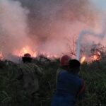 Lahan Seluas 9,7 Hektare di Cileungsi Terbakar, Damkar Berjibaku Padamkan Api