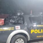 Polsek Parung Sita 1.134 Botol Miras Ilegal di Ciseeng Saat KRYD