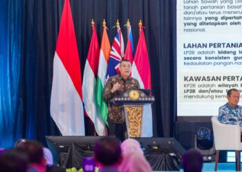 Bangun Kedaulatan Pangan Nasional, Kementerian ATR/BPN Targetkan 87% LBS Jadi LP2B