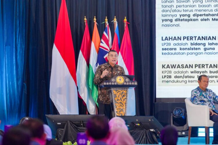 Bangun Kedaulatan Pangan Nasional, Kementerian ATR/BPN Targetkan 87% LBS Jadi LP2B