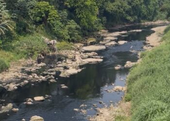 Hasil Lab Sungai Cileungsi Lampaui Ambang Batas, DLH Bogor Bakal Panggil Lebih dari 5 Perusahaan