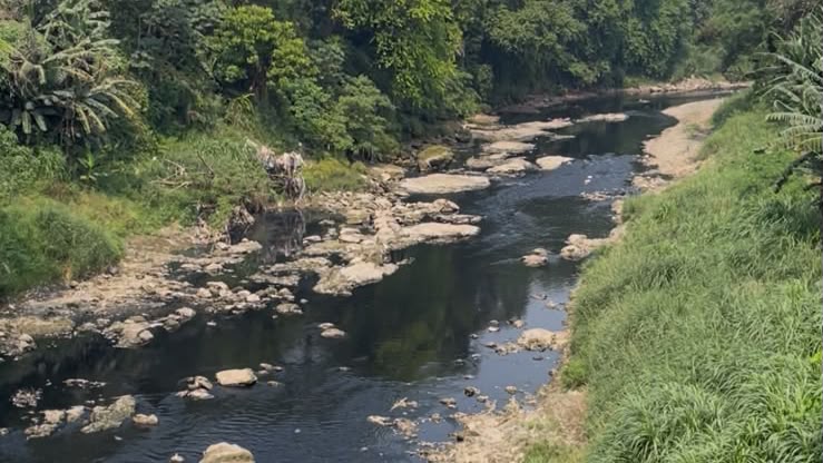 Hasil Lab Sungai Cileungsi Lampaui Ambang Batas, DLH Bogor Bakal Panggil Lebih dari 5 Perusahaan