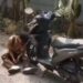 Polisi Ungkap Fakta di Balik Video Pelajar Luka di Cileungsi, Kapolsek: Bukan Pengeroyokan