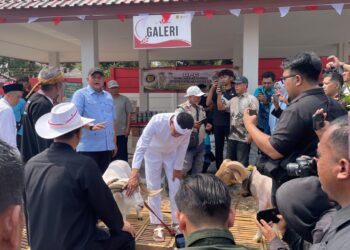 Pasar Hewan Bogor Resmi Dibuka, Pemkab Bogor Dorong Pertumbuhan Ekonomi Wilayah Timur