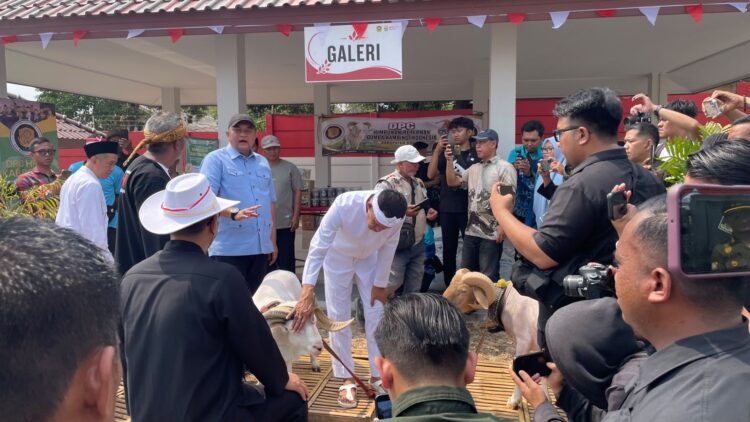 Pasar Hewan Bogor Resmi Dibuka, Pemkab Bogor Dorong Pertumbuhan Ekonomi Wilayah Timur