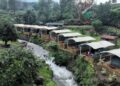 Riverside Gunung Mas Puncak Hadirkan Sensasi Camping Tepi Sungai, Tarif Mulai Rp600 Ribu per Malam
