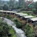 Riverside Gunung Mas Puncak Hadirkan Sensasi Camping Tepi Sungai, Tarif Mulai Rp600 Ribu per Malam