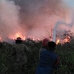 Dampak Kemarau Panjang, Kebakaran Lahan di Kabupaten Bogor Tembus 139 Kejadian 