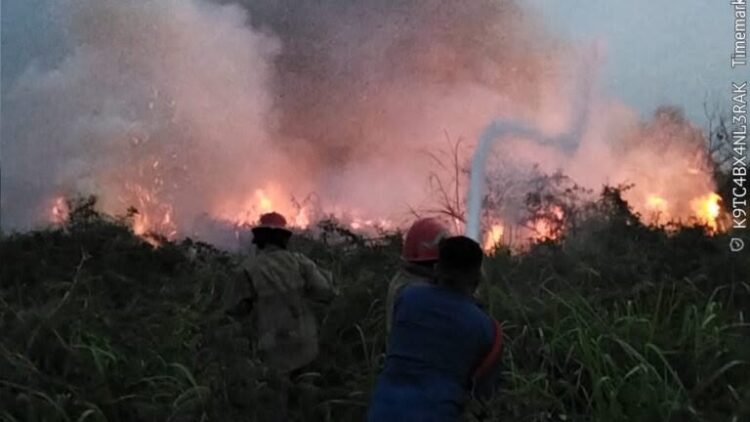 Dampak Kemarau Panjang, Kebakaran Lahan di Kabupaten Bogor Tembus 139 Kejadian 
