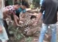 Kepergok Hendak Curi Mesin Pompa Air, Seorang Pria Babak Belur di Wanaherang