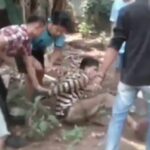 Kepergok Hendak Curi Mesin Pompa Air, Seorang Pria Babak Belur di Wanaherang
