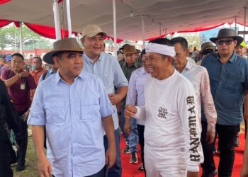 Sebut Peternakan Jabar Makin Bagus, Dedi Mulyadi Borong 4 Sapi di Kontes APPSI Pakansari