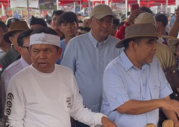 Ahmad Muzani Ungkap Kontes Sapi Pakansari Terbesar, Ada Target Rekor Dunia