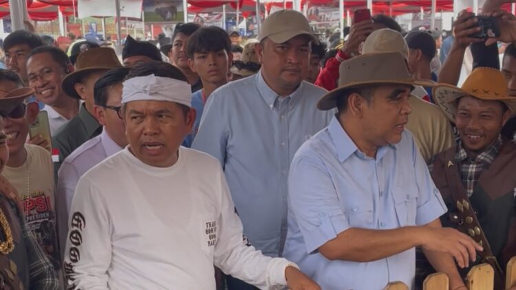 Ahmad Muzani Ungkap Kontes Sapi Pakansari Terbesar, Ada Target Rekor Dunia