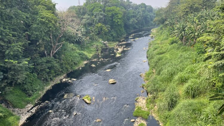 Antara Menjaga Iklim Investasi dan Tercemarnya Sungai Cileungsi