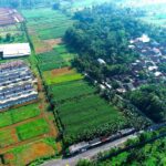 Dua Tahun Kabinet Merah Putih, Kementerian ATR/BPN Catat RDTR Terintegrasi OSS Bertambah Jadi 576 dan Usulan LP2B Lampaui Target RPJMN
