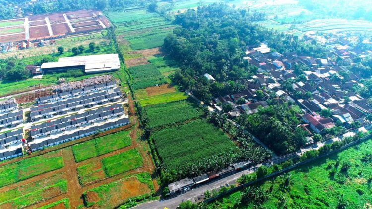 Dua Tahun Kabinet Merah Putih, Kementerian ATR/BPN Catat RDTR Terintegrasi OSS Bertambah Jadi 576 dan Usulan LP2B Lampaui Target RPJMN