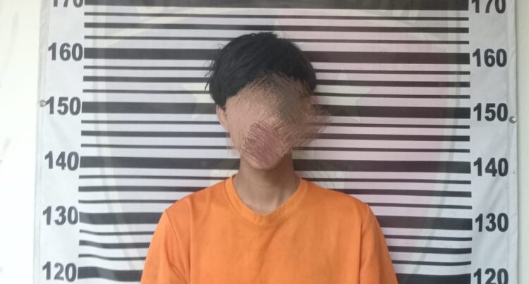 Curi Entok Dini Hari di Gunung Putri, Remaja 18 Tahun Diamankan Polisi