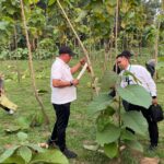 Fokus Penghijauan, Pemkab Bogor Perluas Hutan Kota hingga 220 Hektare